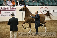 usn07_08292 proof