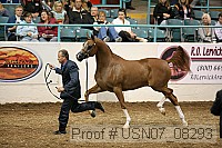 usn07_08293 proof