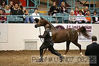 usn07_08295 proof