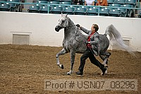 usn07_08296 proof