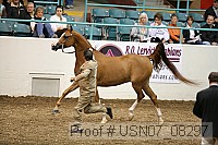 usn07_08297 proof