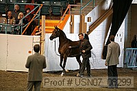 usn07_08299 proof