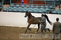 usn07_08300 proof