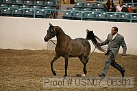 usn07_08301 proof