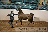 usn07_08304 proof
