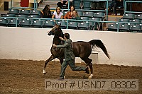 usn07_08305 proof