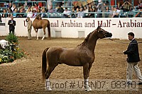 usn07_08310 proof