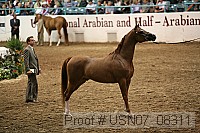 usn07_08311 proof