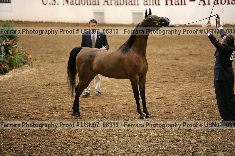 Proof usn07_08313