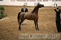 usn07_08313 proof