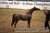 usn07_08317 proof