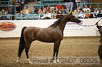 usn07_08325 proof