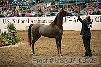 usn07_08329 proof