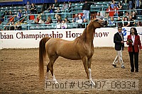 usn07_08334 proof