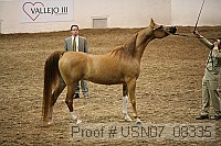 usn07_08335 proof
