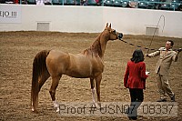 usn07_08337 proof