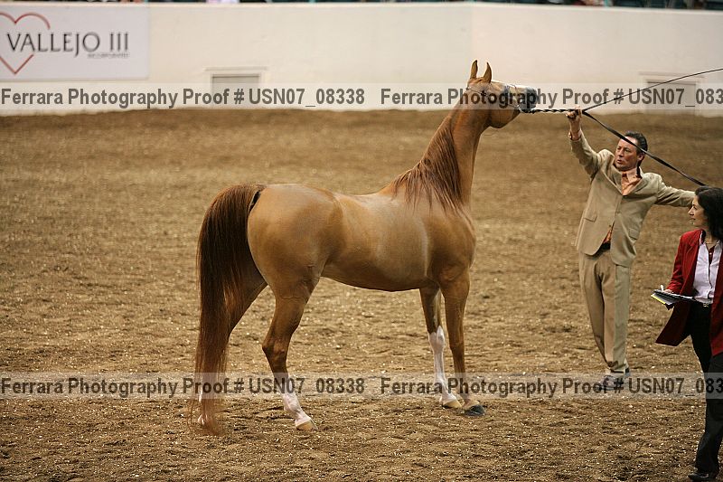 Proof usn07_08338
