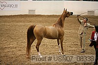 usn07_08338 proof