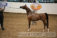 usn07_08339 proof
