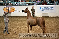 usn07_08341 proof