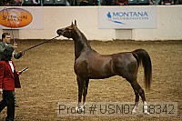 usn07_08342 proof