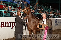 usn07_j08561 proof