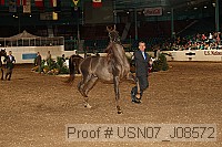 usn07_j08572 proof