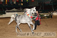 usn07_j08575 proof
