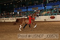 usn07_j08576 proof
