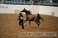 usn07_00867 proof