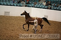 usn07_00868 proof