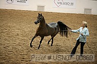 usn07_00869 proof