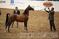 usn07_00870 proof