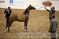 usn07_00871 proof