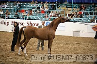 usn07_00873 proof