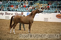 usn07_00874 proof