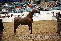 usn07_00875 proof