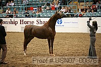 usn07_00876 proof