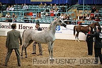 usn07_00879 proof