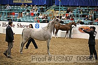 usn07_00880 proof