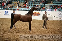 usn07_00882 proof