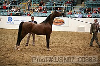usn07_00883 proof