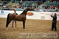 usn07_00884 proof