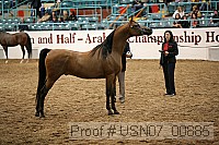 usn07_00885 proof
