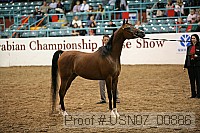 usn07_00886 proof