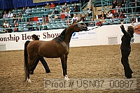 usn07_00887 proof