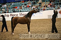 usn07_00888 proof