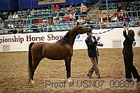 usn07_00889 proof