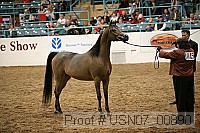 usn07_00890 proof