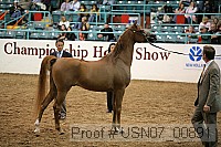 usn07_00891 proof